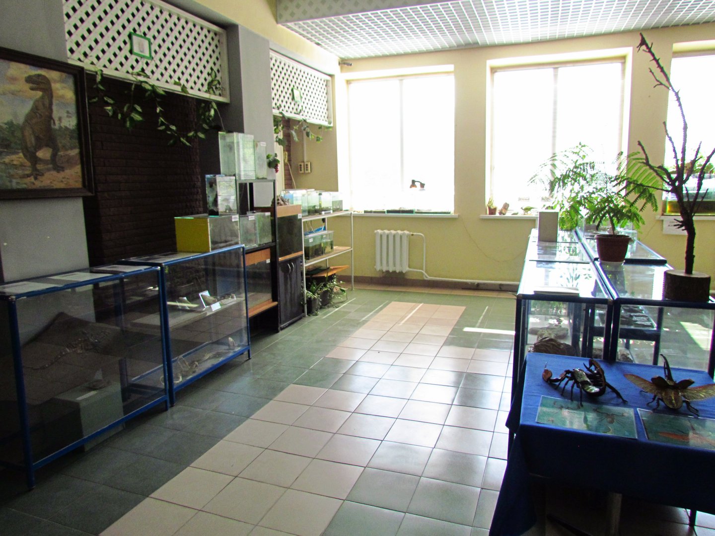 Insect & fossil exhibit