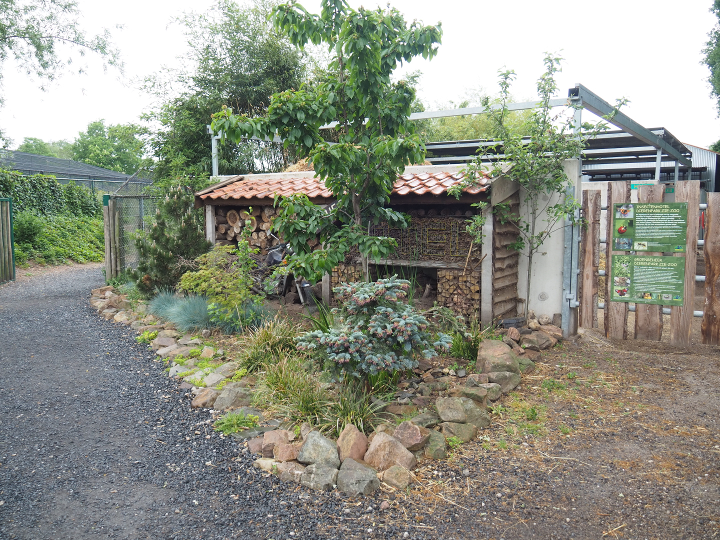 Insect garden and hotel,  2022-05-17