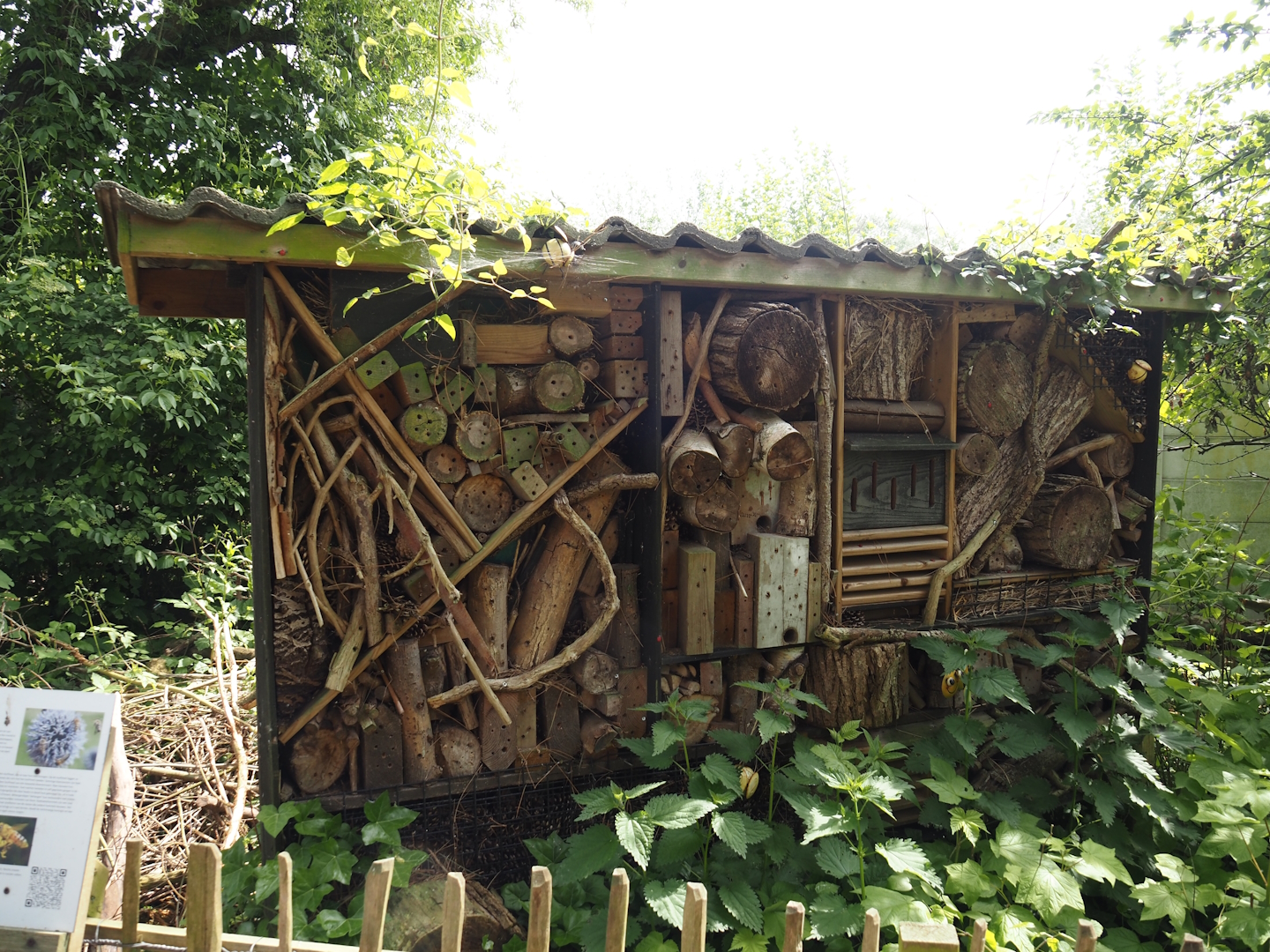 Insect hotel, 2024-05-11