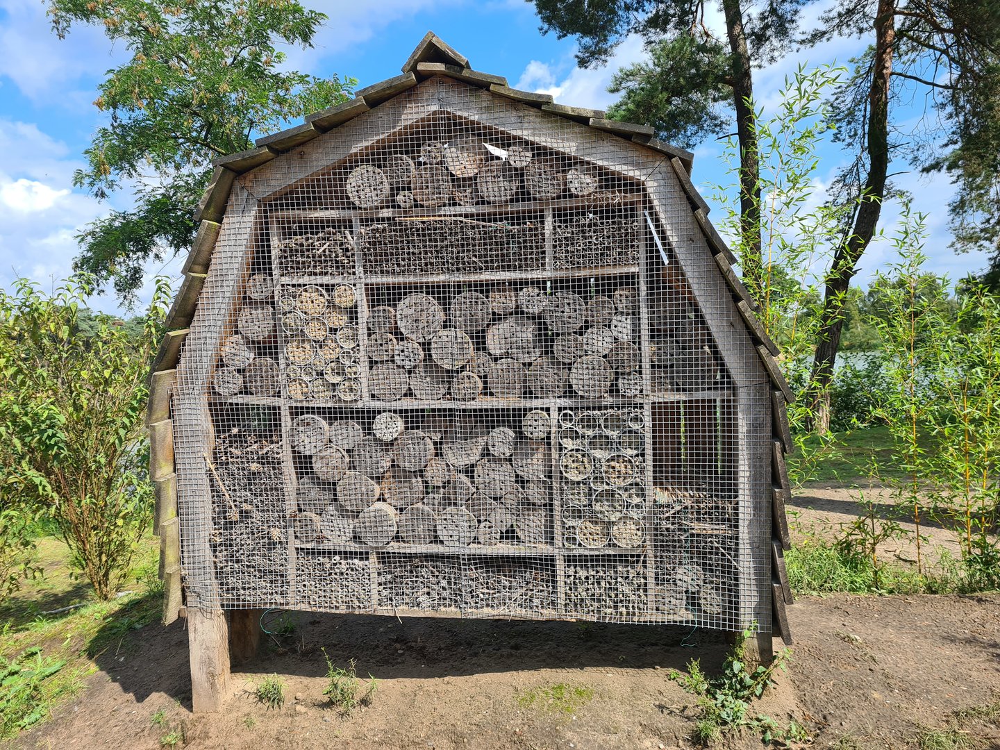 Insect hotel inhabited by Solitary bees