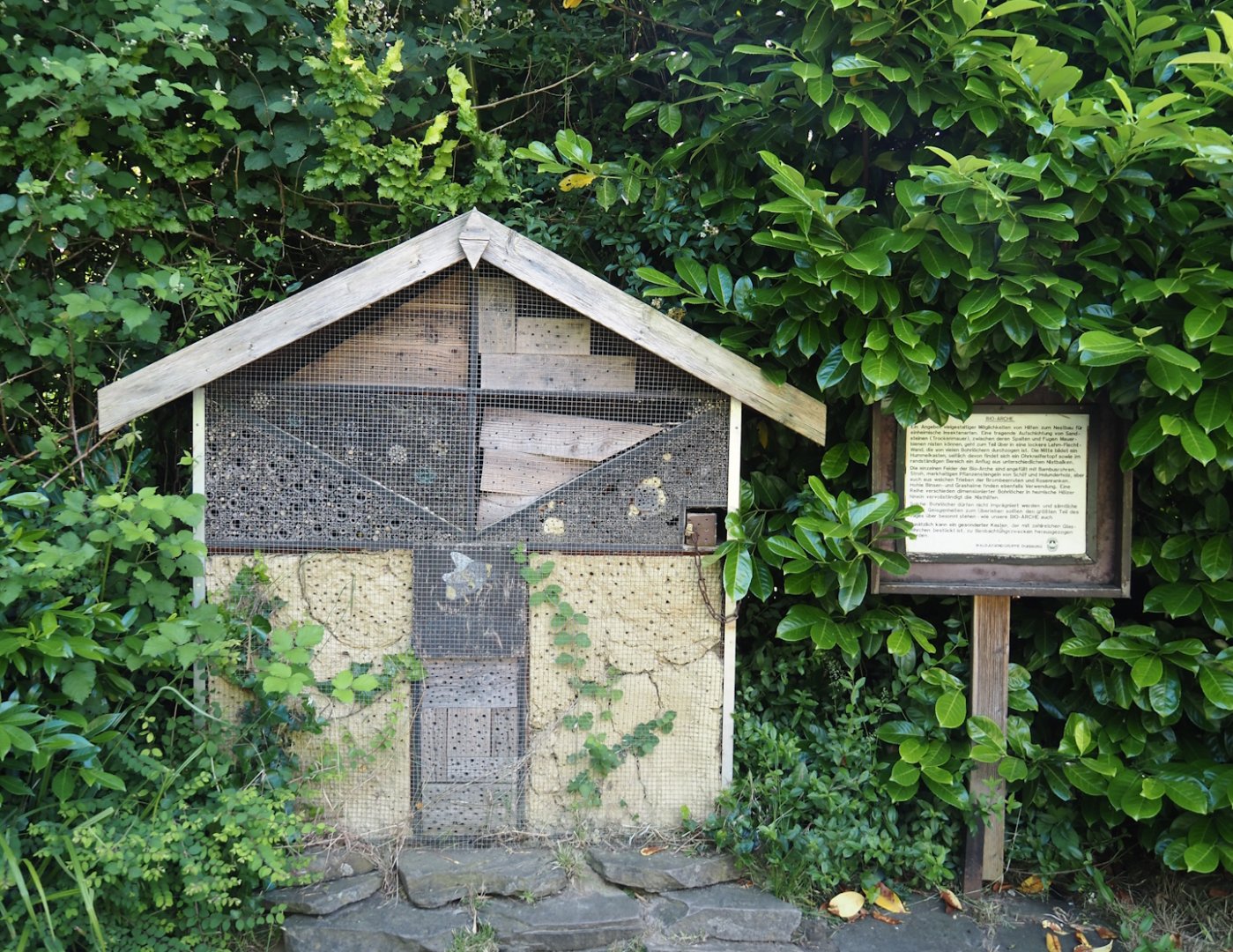 Insect hotel on the bridge connecting the two parts of the zoo, 2024-06-08