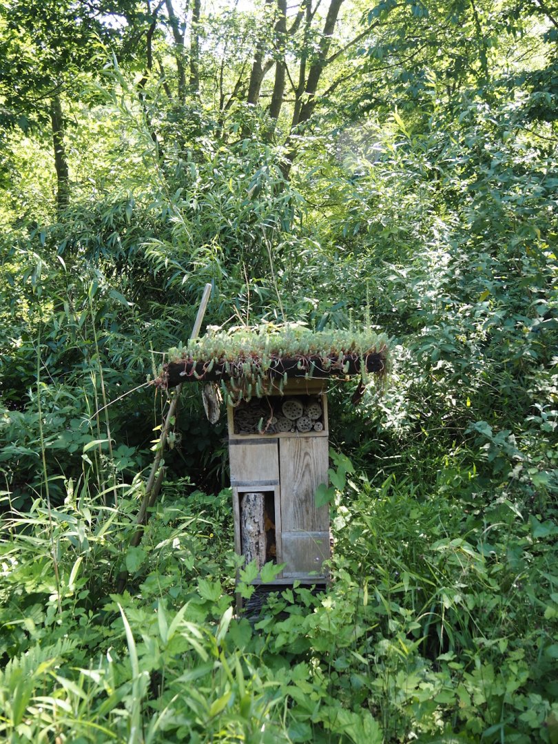 Insect hotel with living roof in gardens with beehives, 2024-06-08