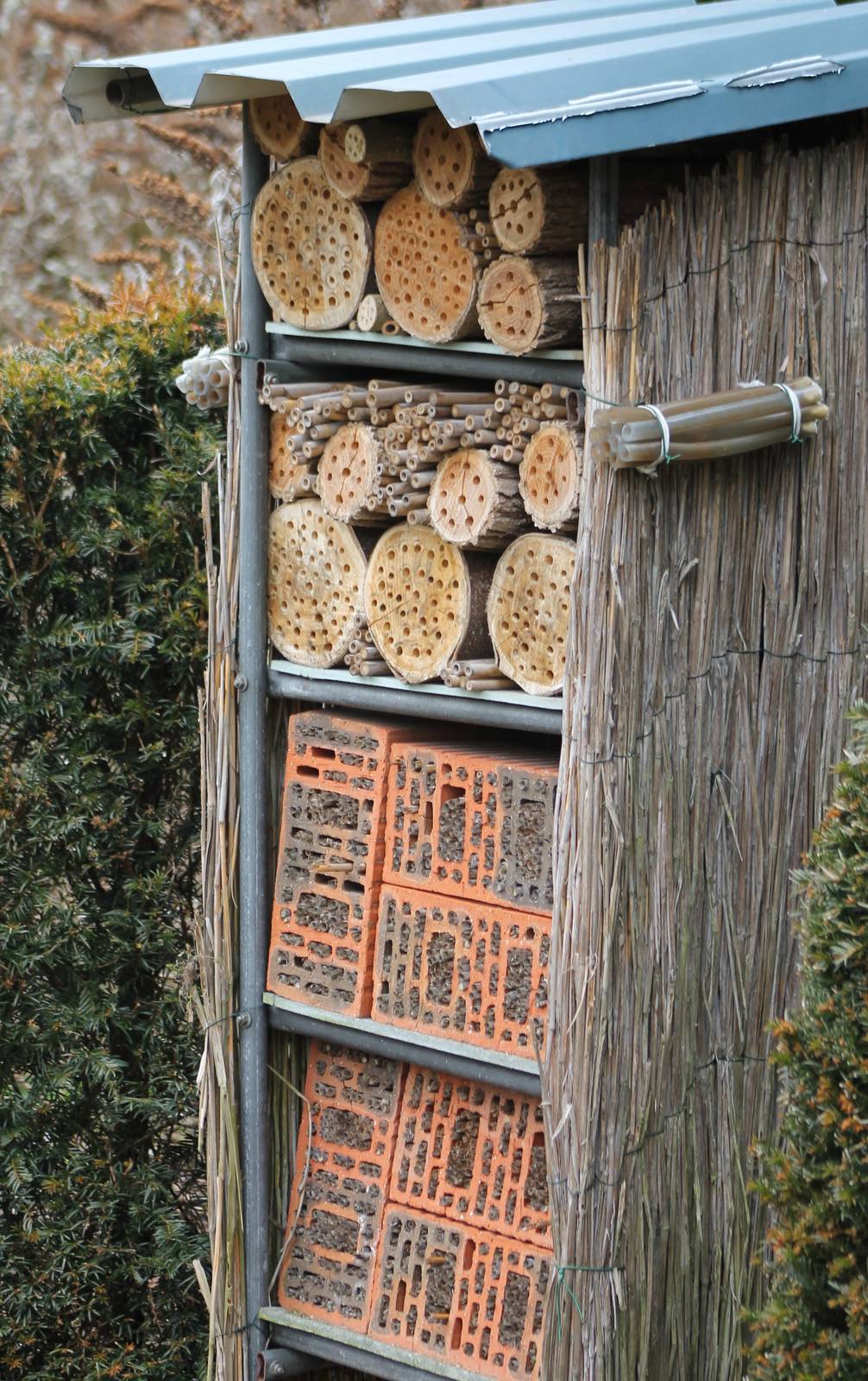 insect hotel