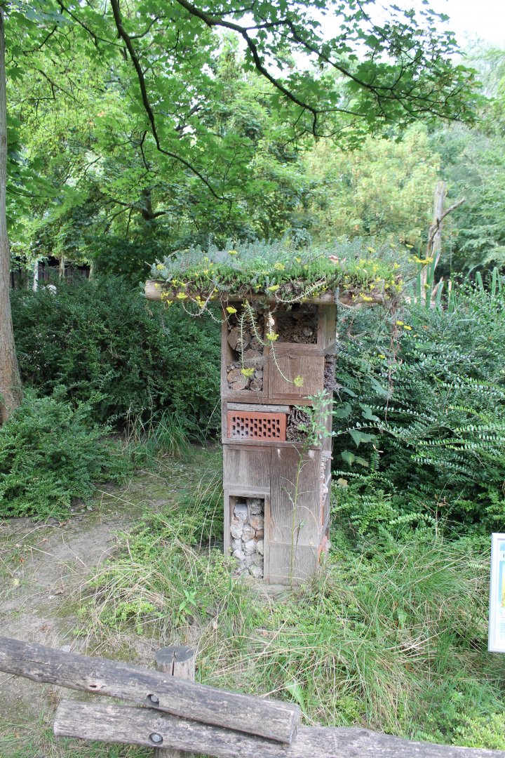 Insect hotel