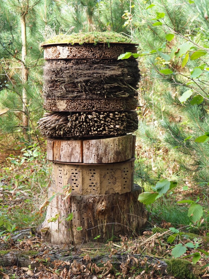 Insect hotel