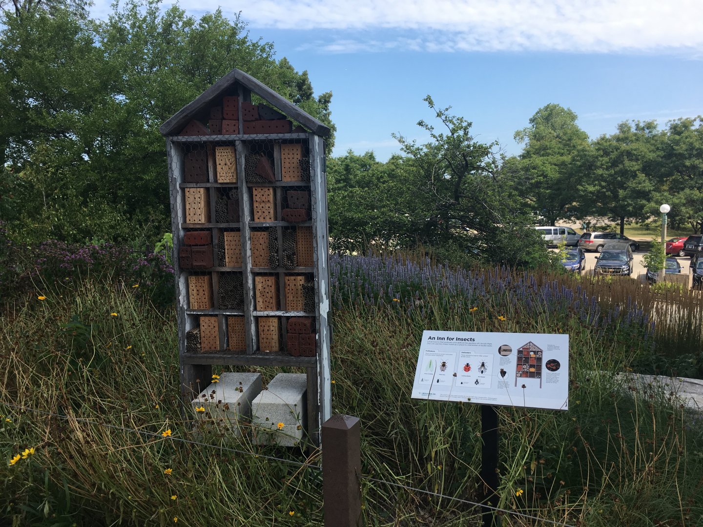 Insect Hotel