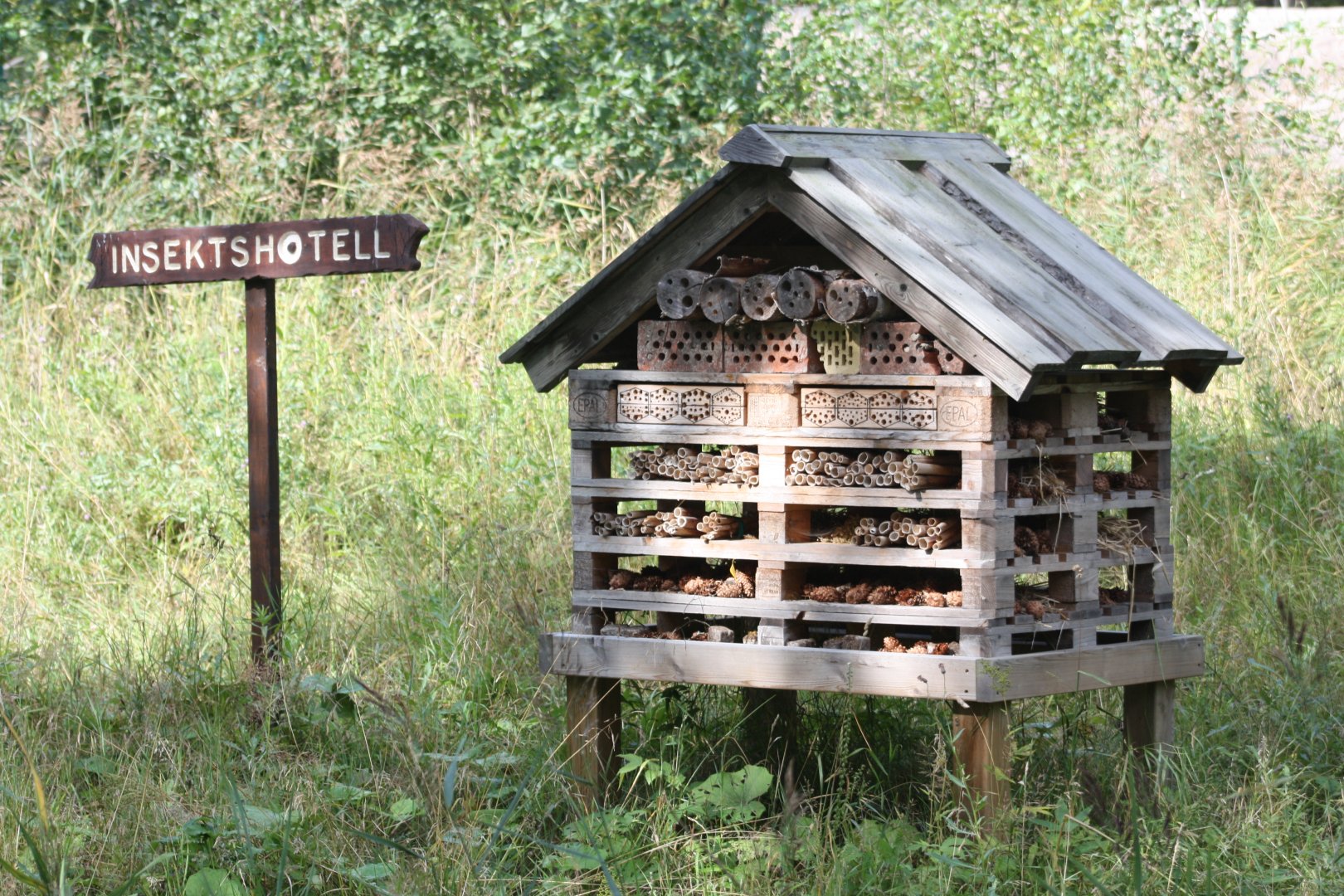 insect-hotel