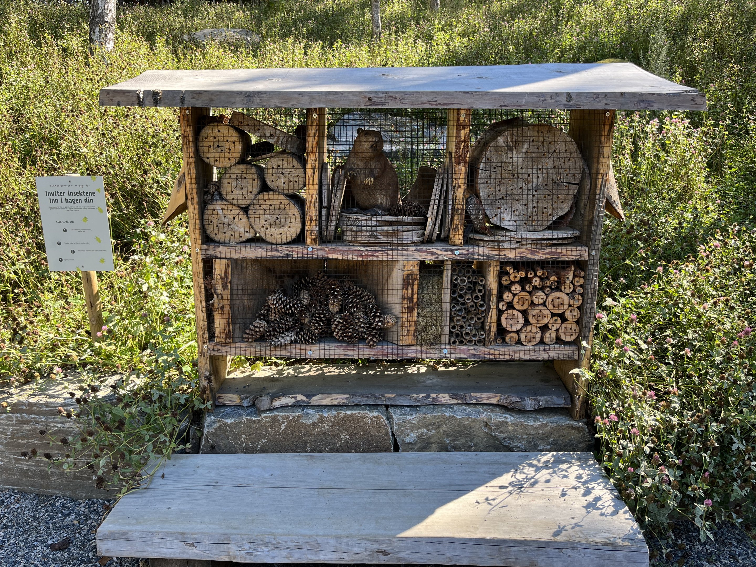 Insect Hotel