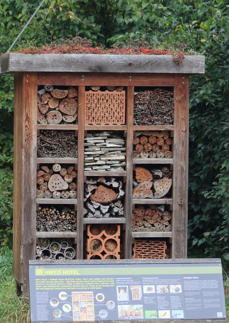 Insect-hotel