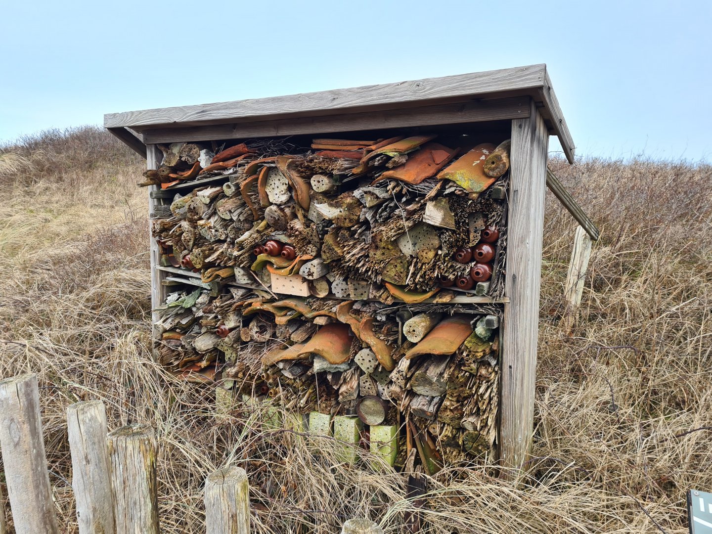 Insect Hotel