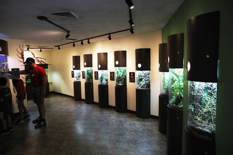 insect house (childrens zoo)