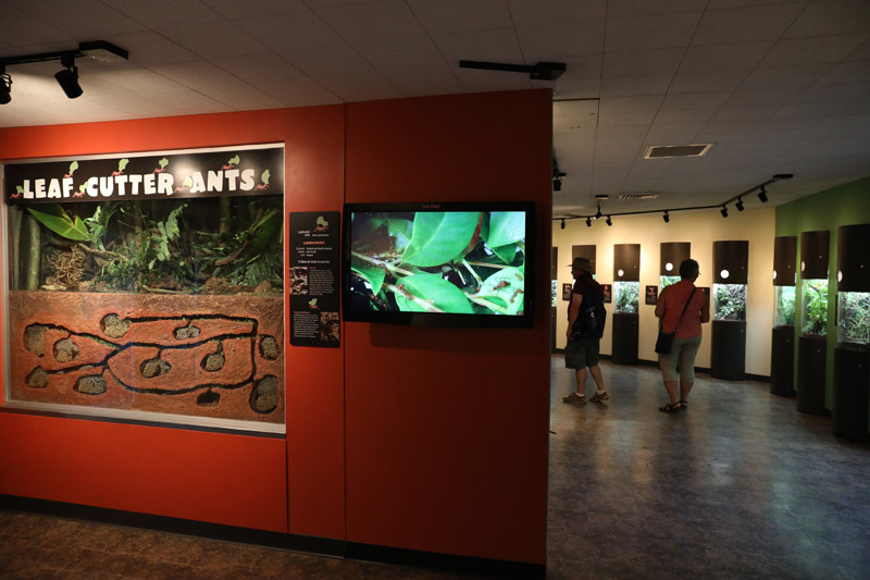 insect house (childrens zoo)