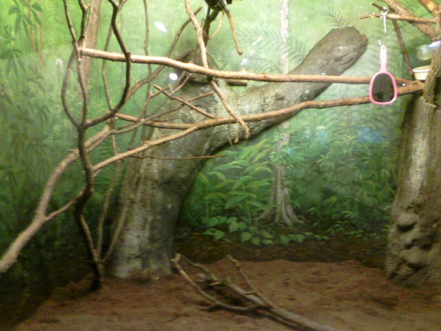 Insect House- Emperor Tamarin Exhibit