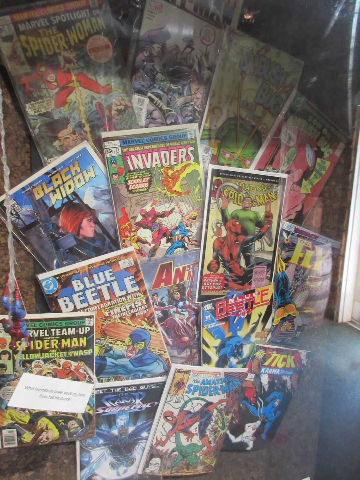 Insect House - Invertebrate Art