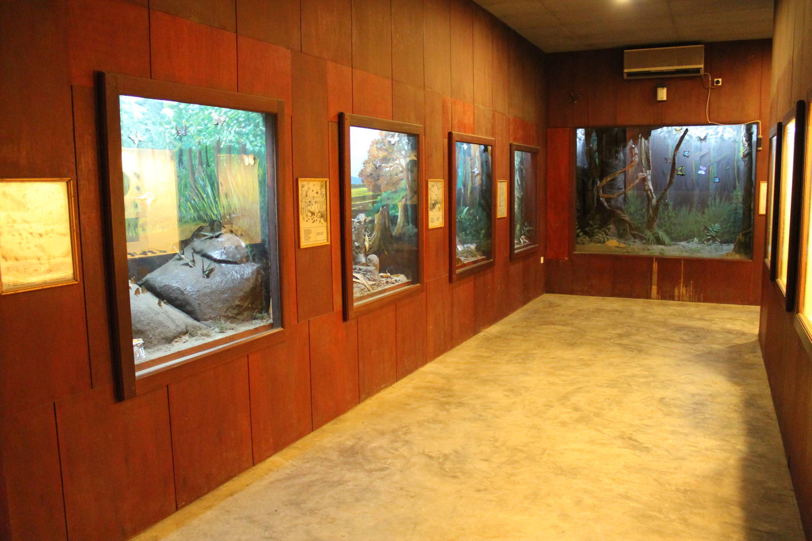 insect museum