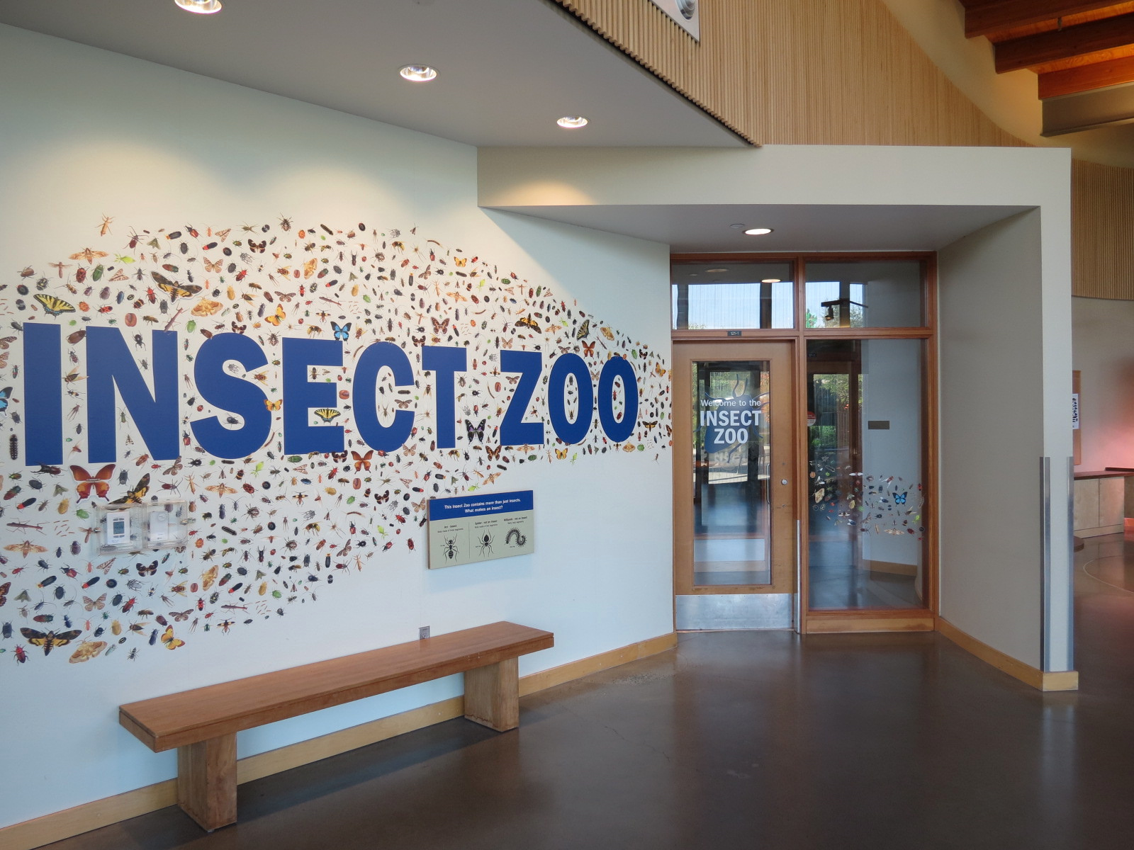 Insect Zoo in Nature Exploration Station