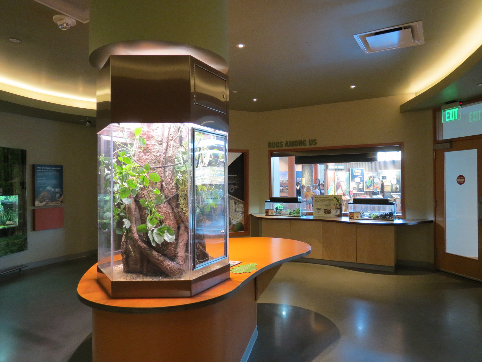 Insect Zoo in Nature Exploration Station