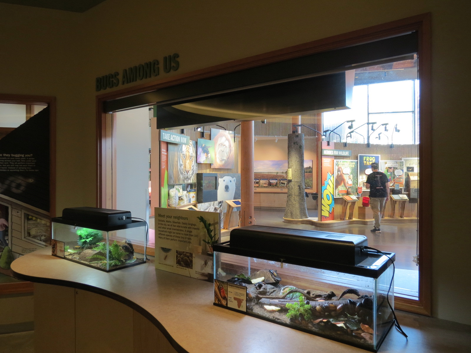 Insect Zoo in Nature Exploration Station