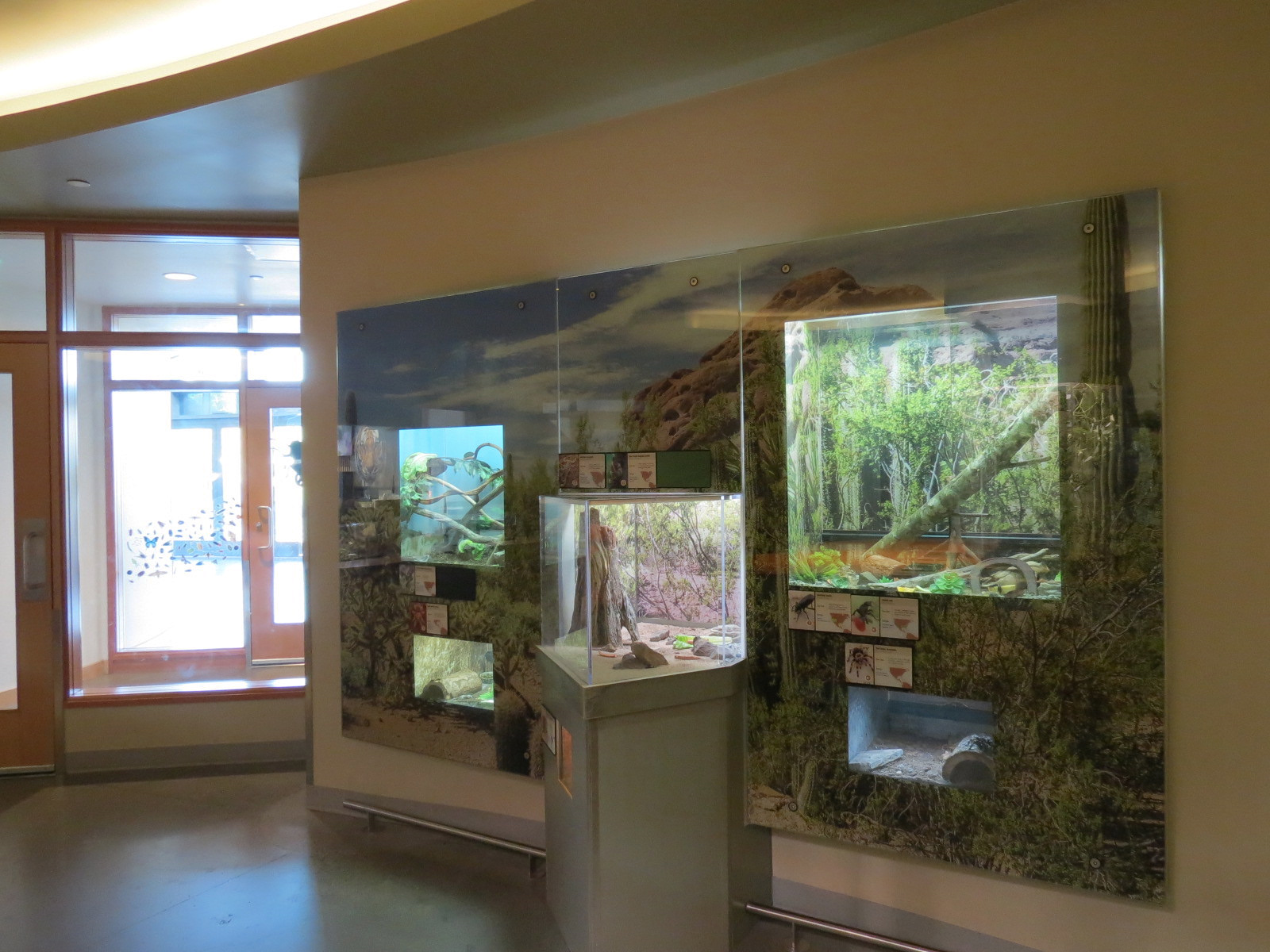 Insect Zoo in Nature Exploration Station