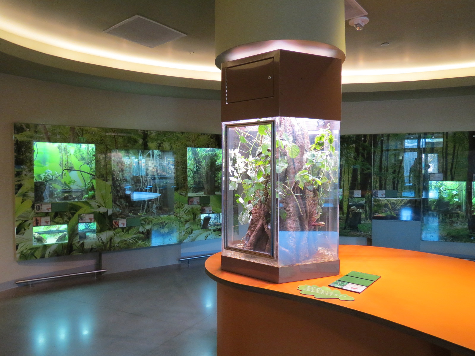 Insect Zoo in Nature Exploration Station