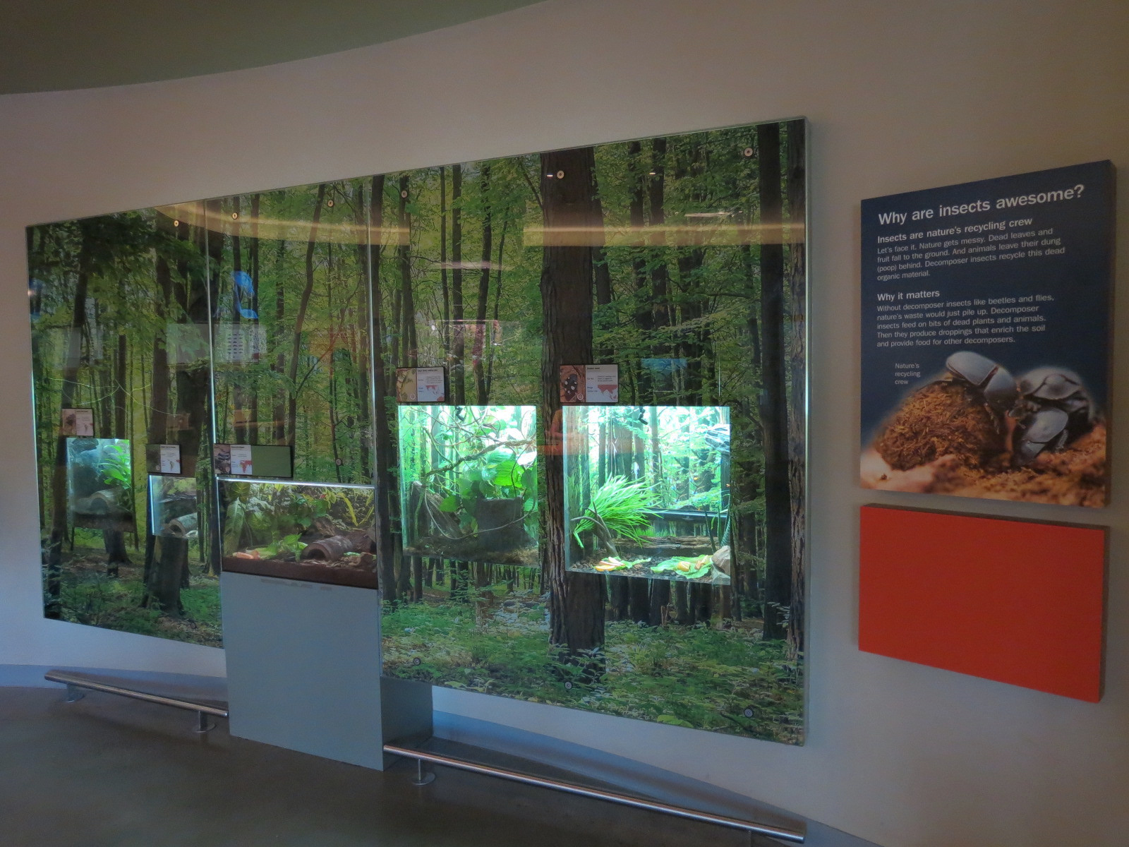 Insect Zoo in Nature Exploration Station