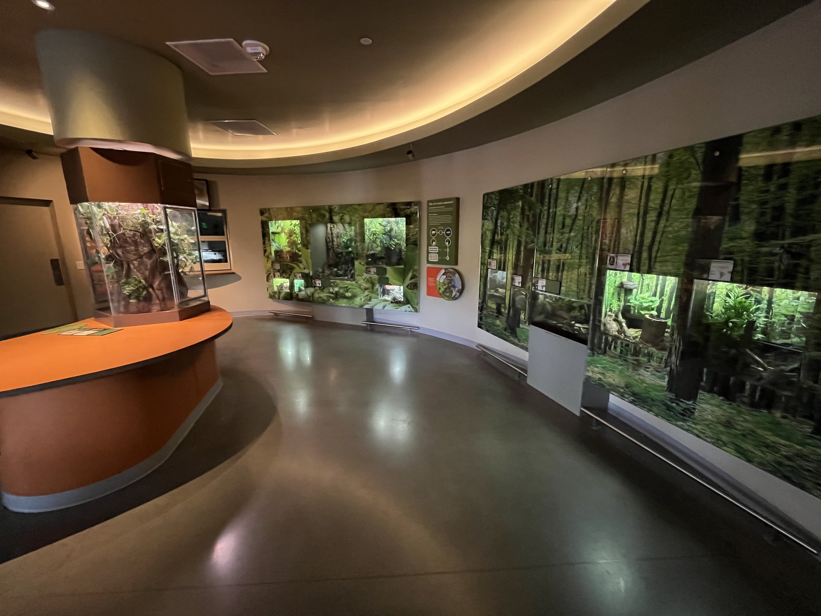 Insect Zoo (one small room)