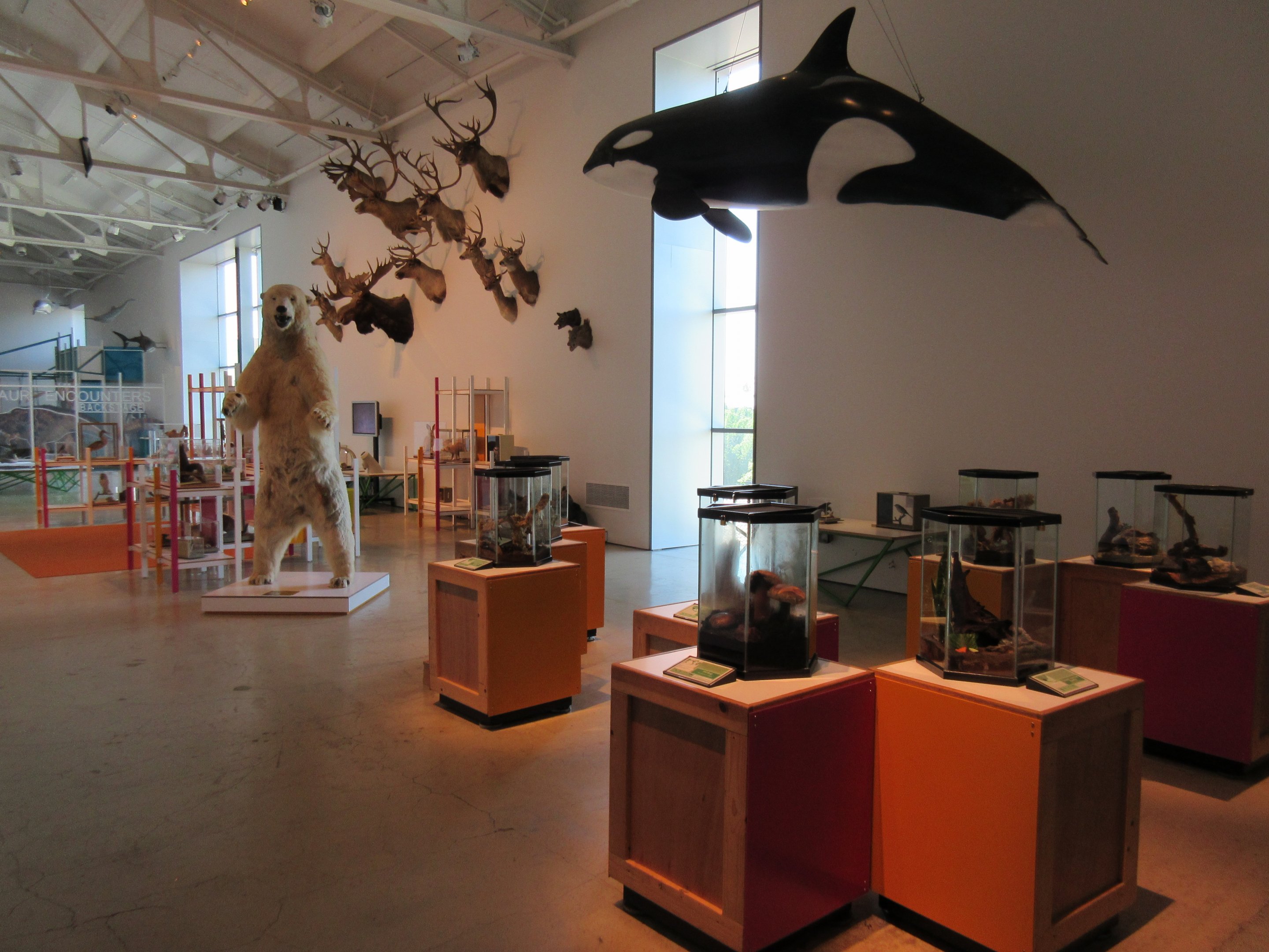 Insect Zoo (the nation's smallest?) - only 9 terrariums