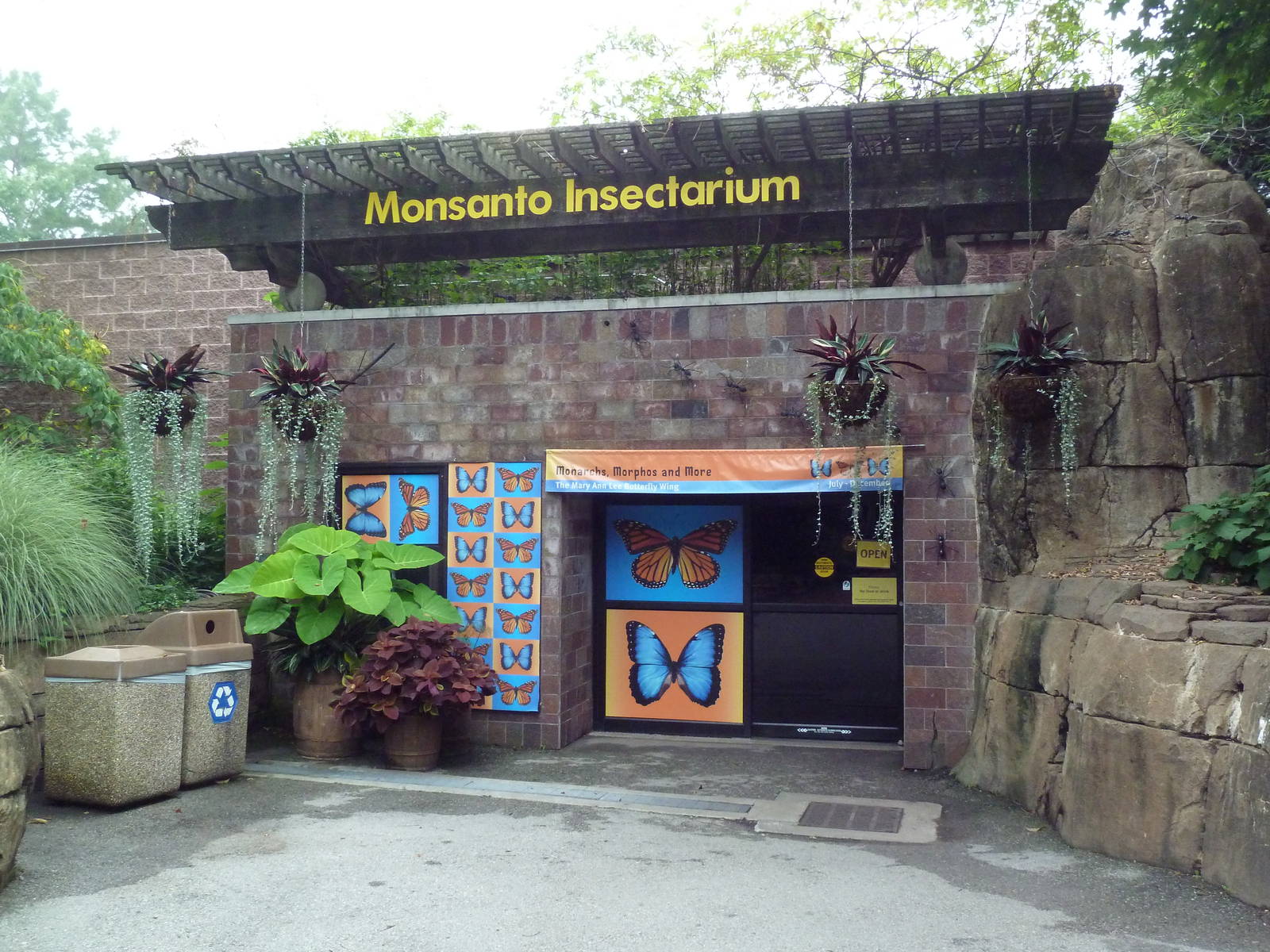 Insectarium (64 Species + a Butterfly Dome)