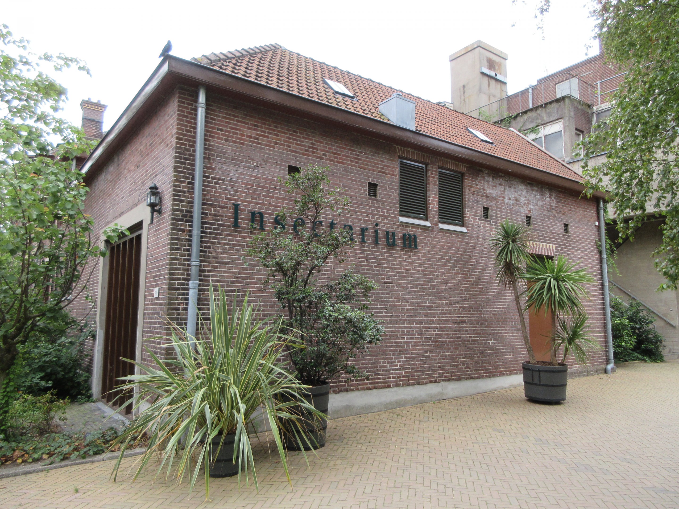 Insectarium (a building from 1897)