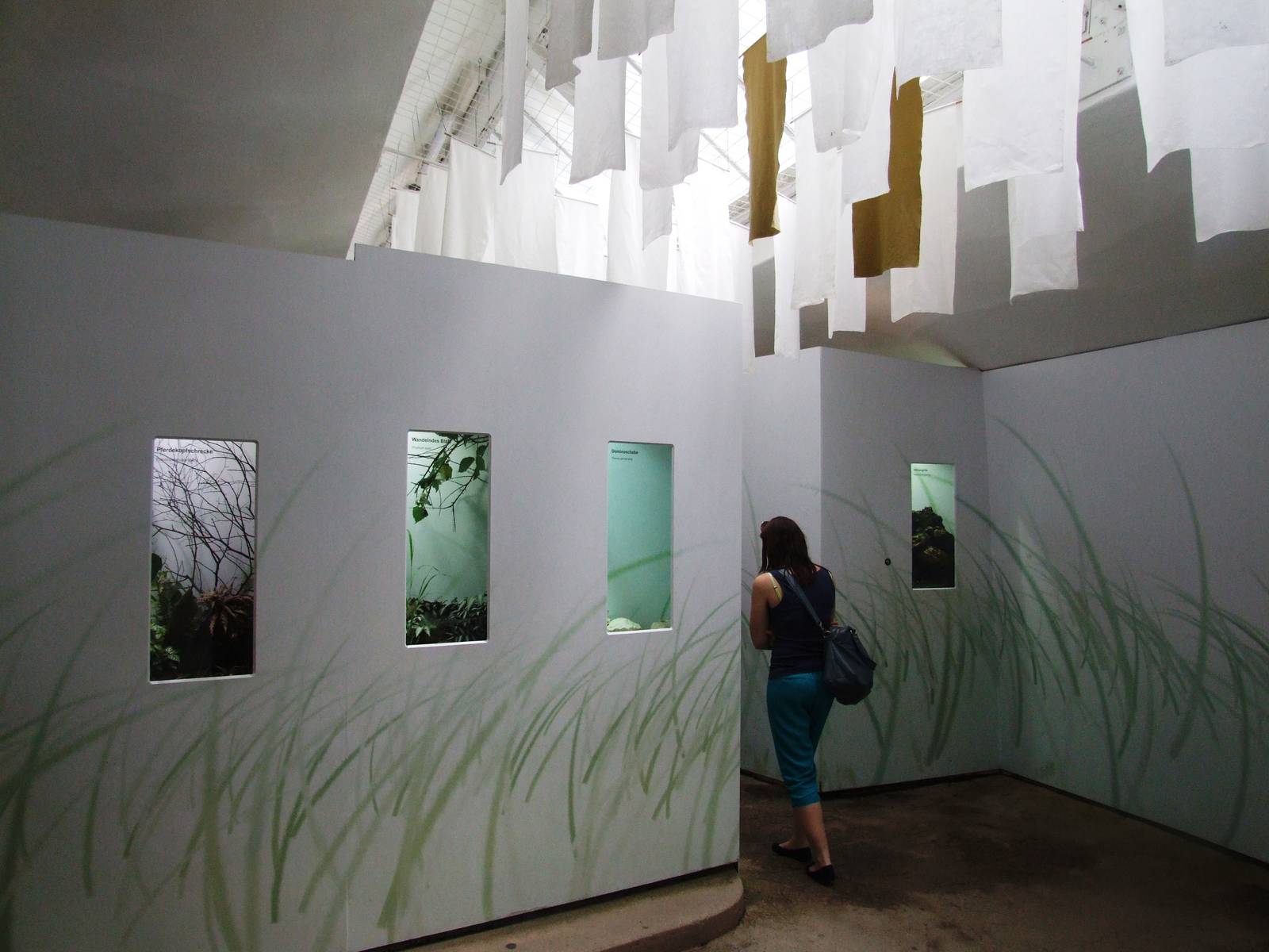 Insectarium at Vienna, 14/06/13