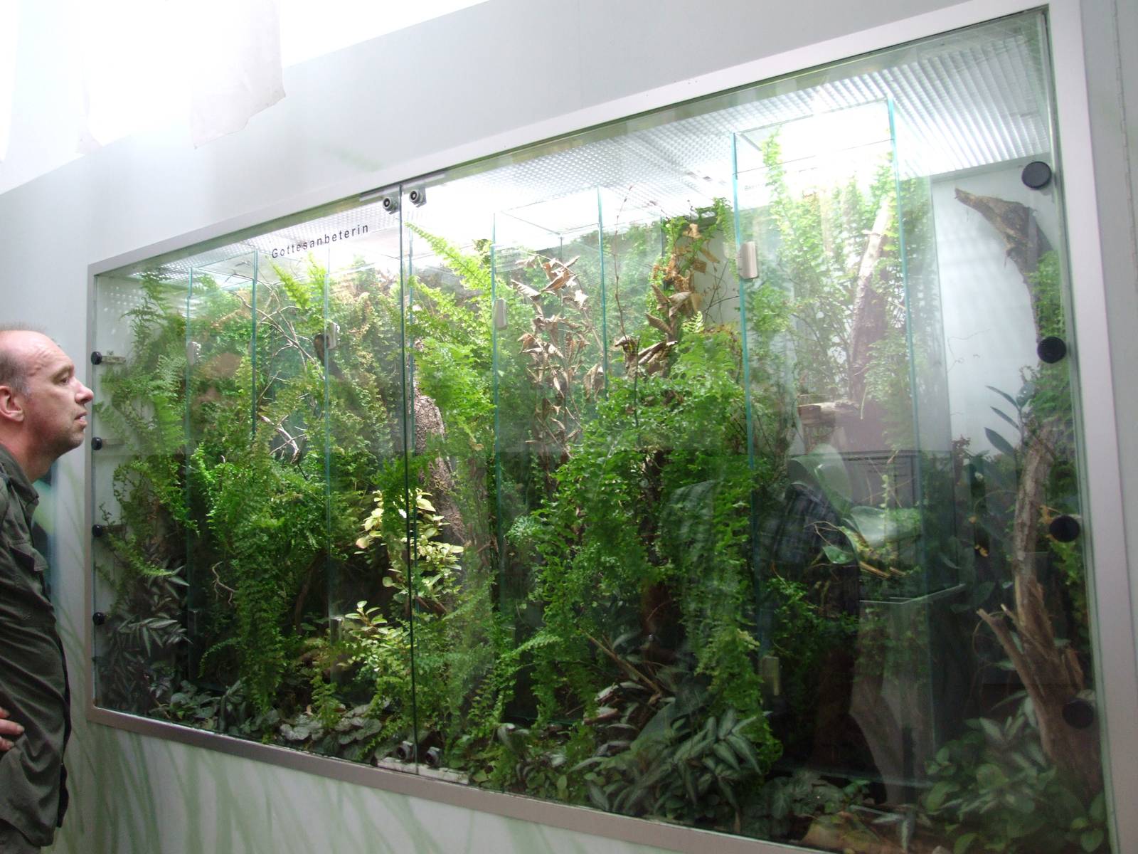 Insectarium at Vienna, 14/06/13