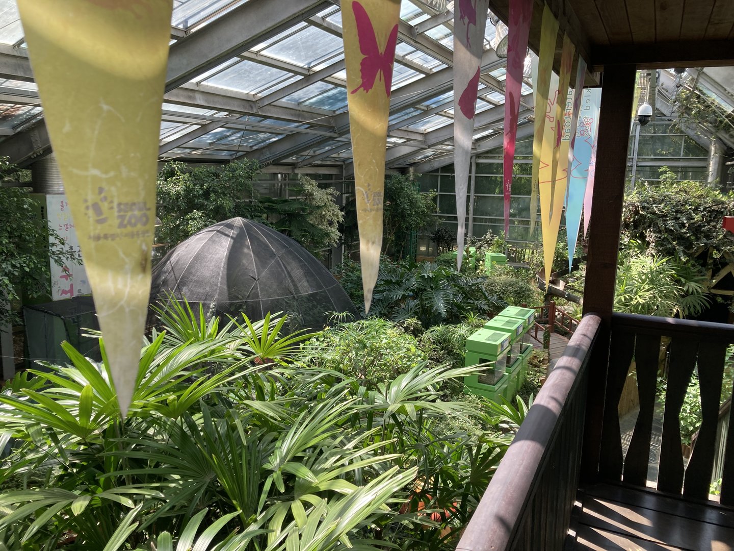 Insectarium butterfly and frog area