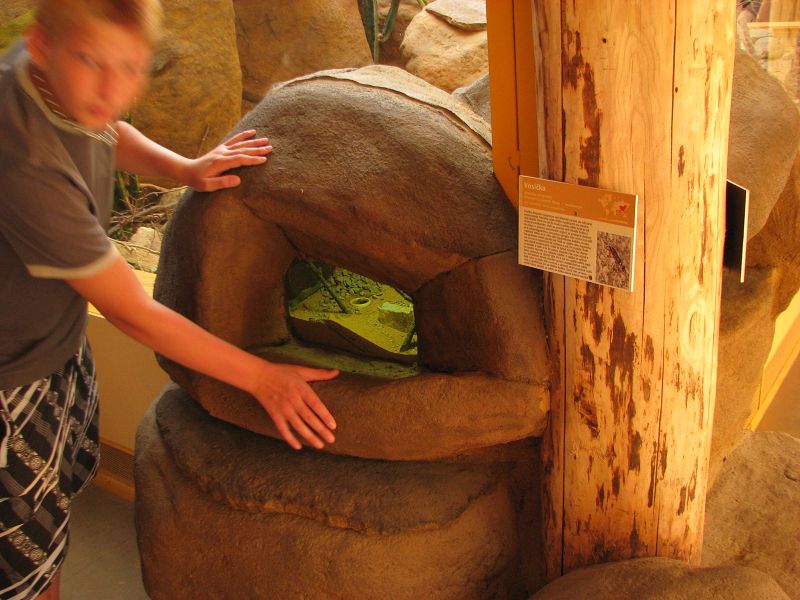 Insectarium in the giraffe house