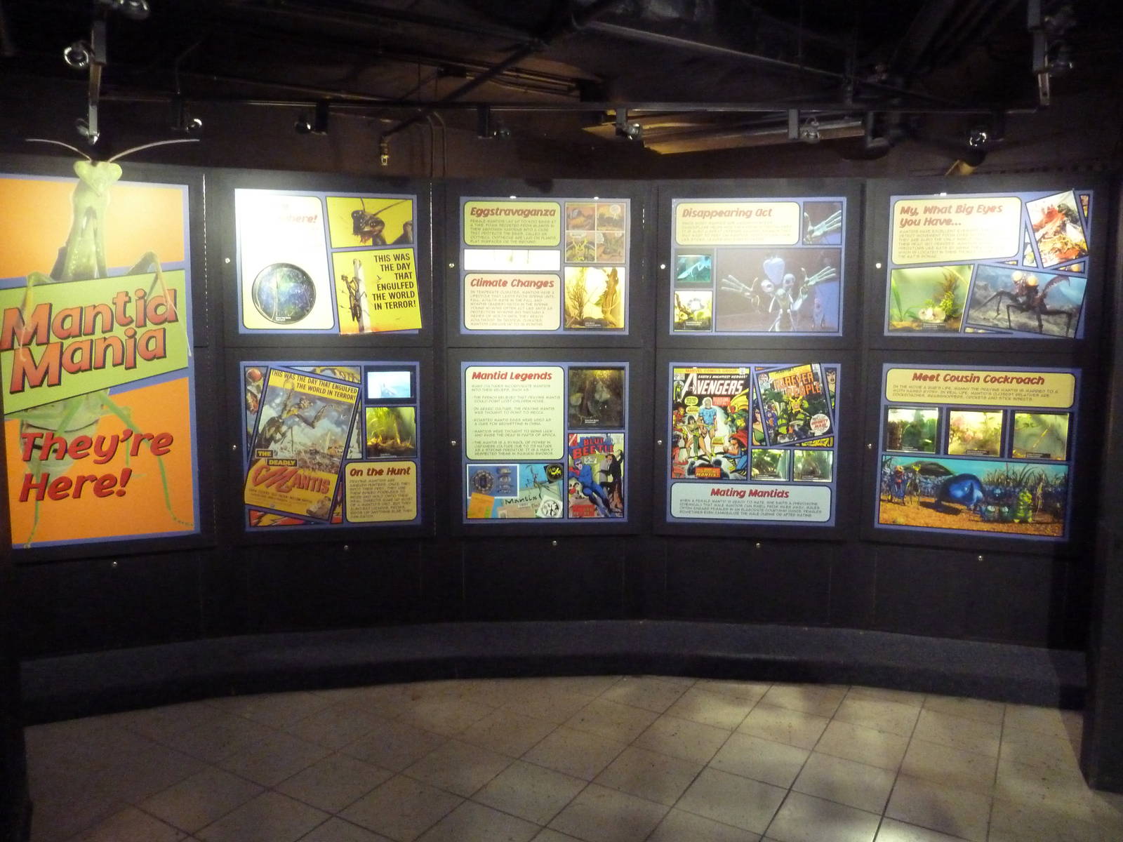 Insectarium - New Mantis Exhibits