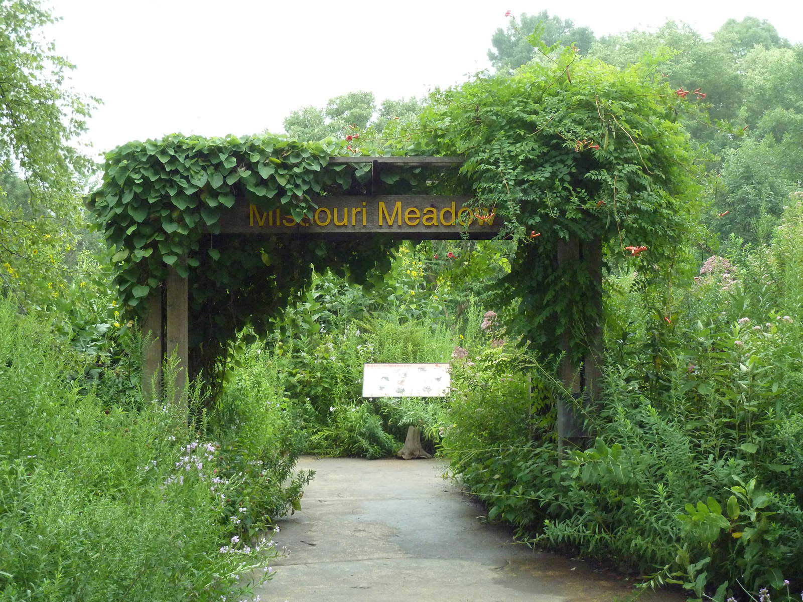 Insectarium - Outdoor Nature Walk