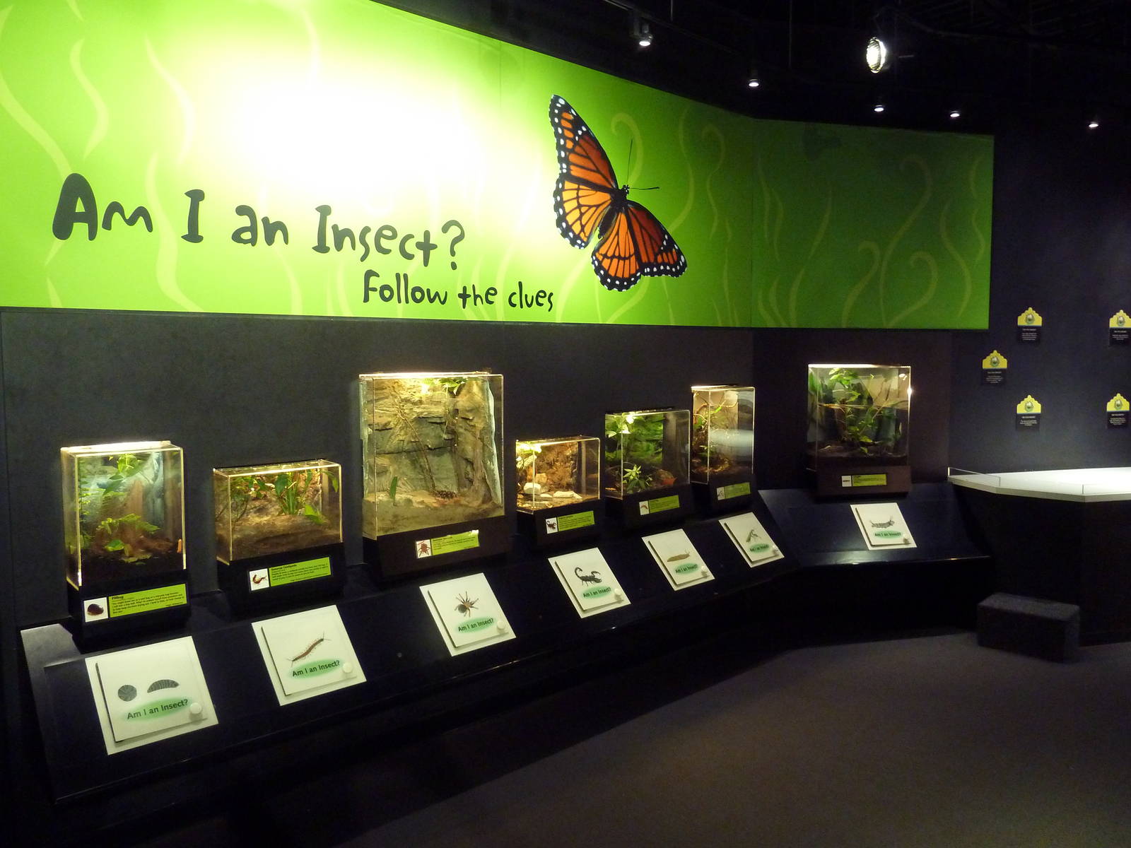 Insectarium