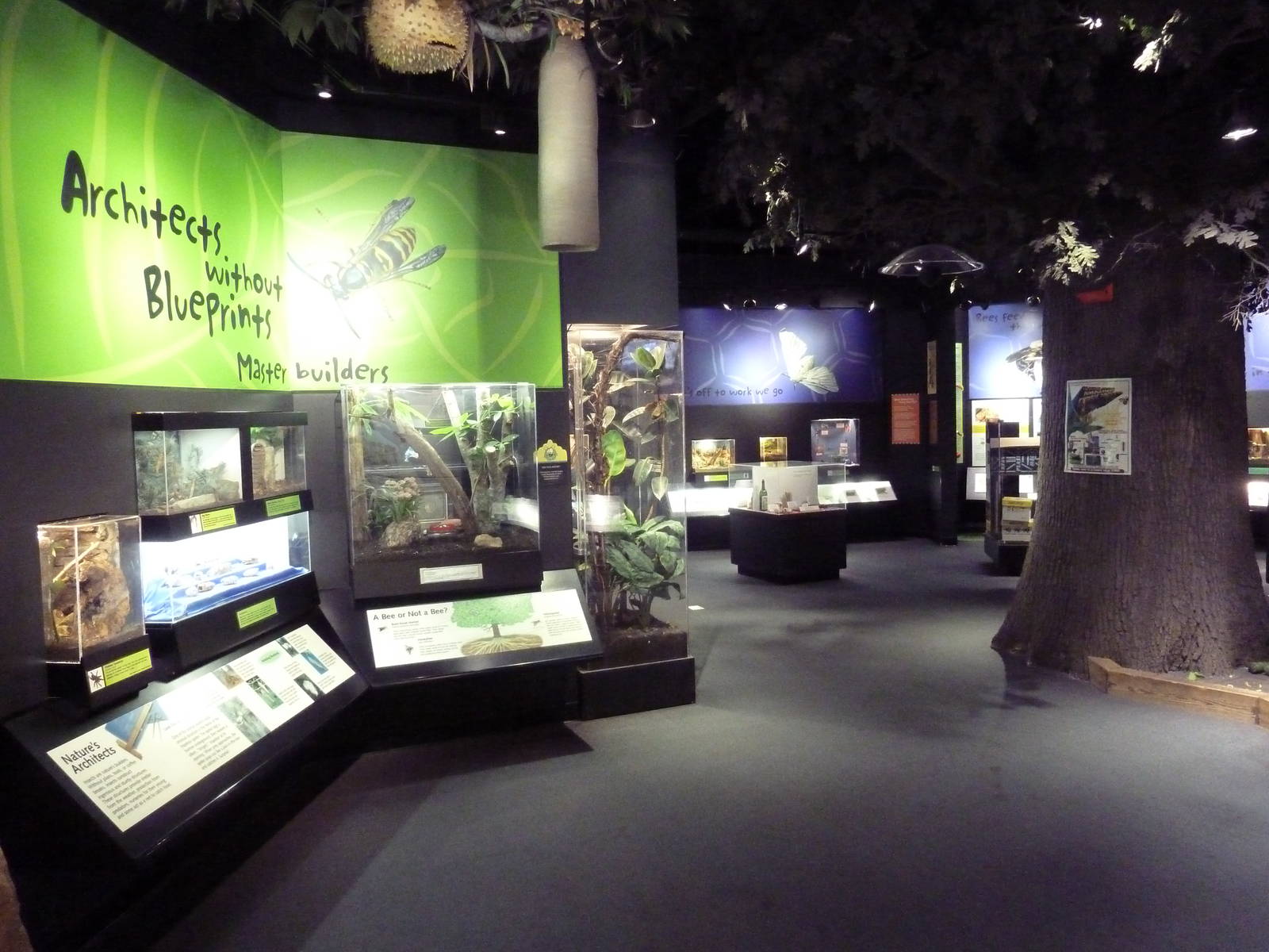 Insectarium