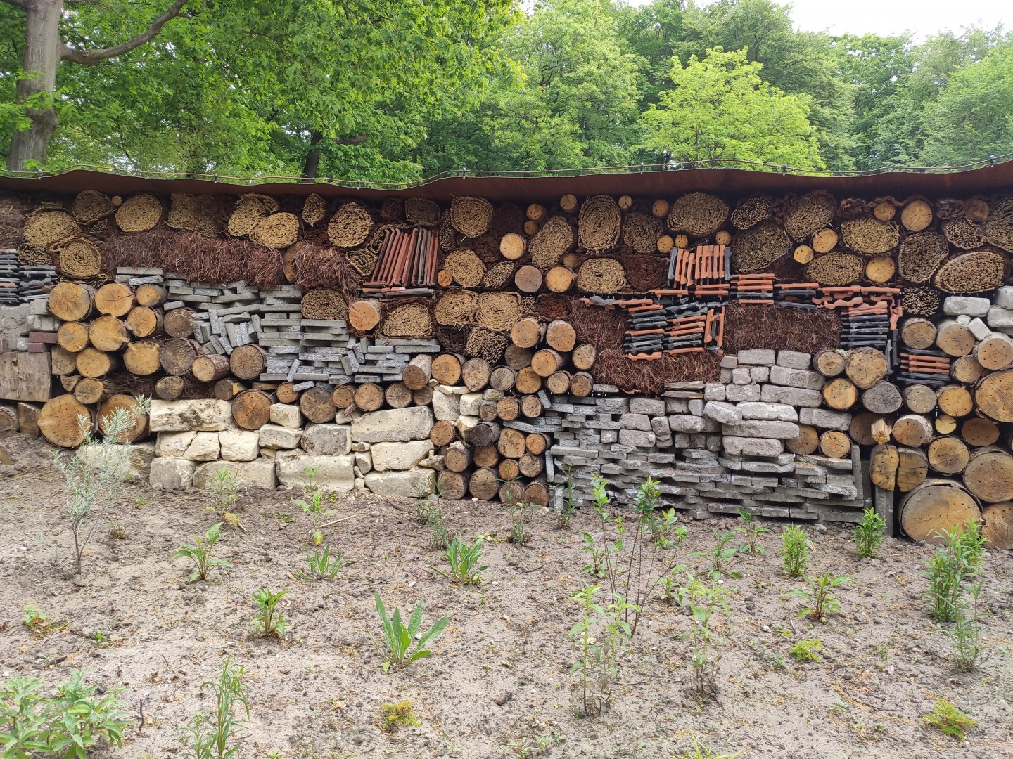 Insecthotel in the border of the new walkthrough