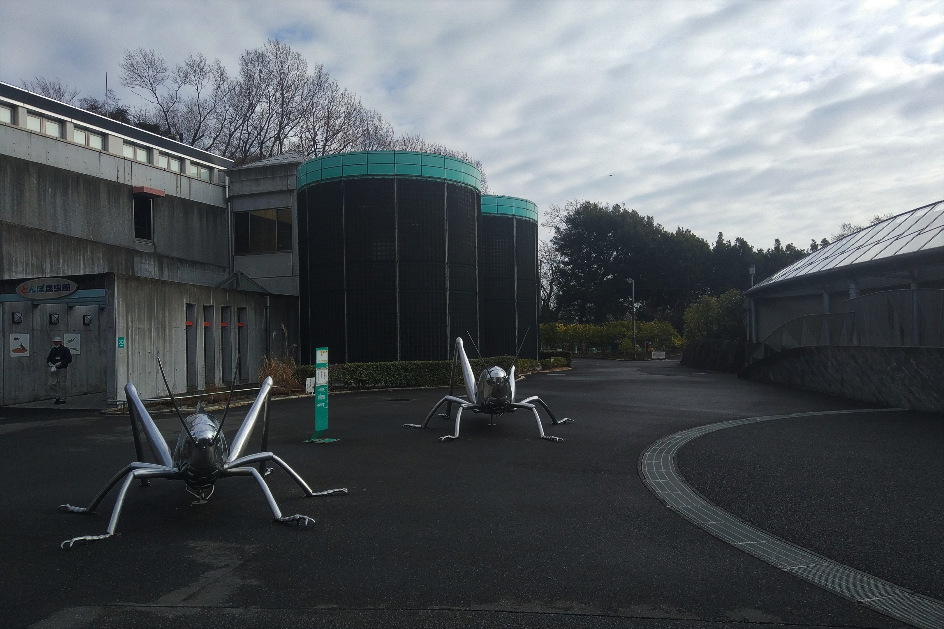 Insectopia and Insectarium