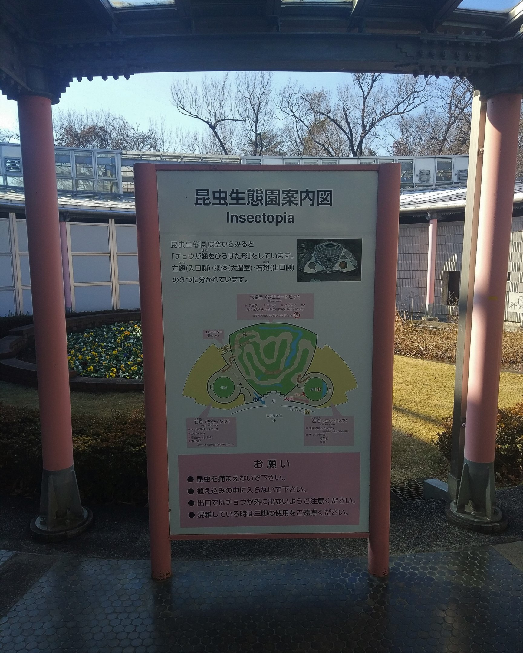 Insectopia Entrance Map