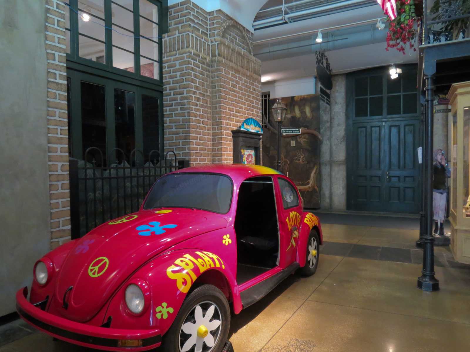 Insects of New Orleans - Lovebug 'Theater'