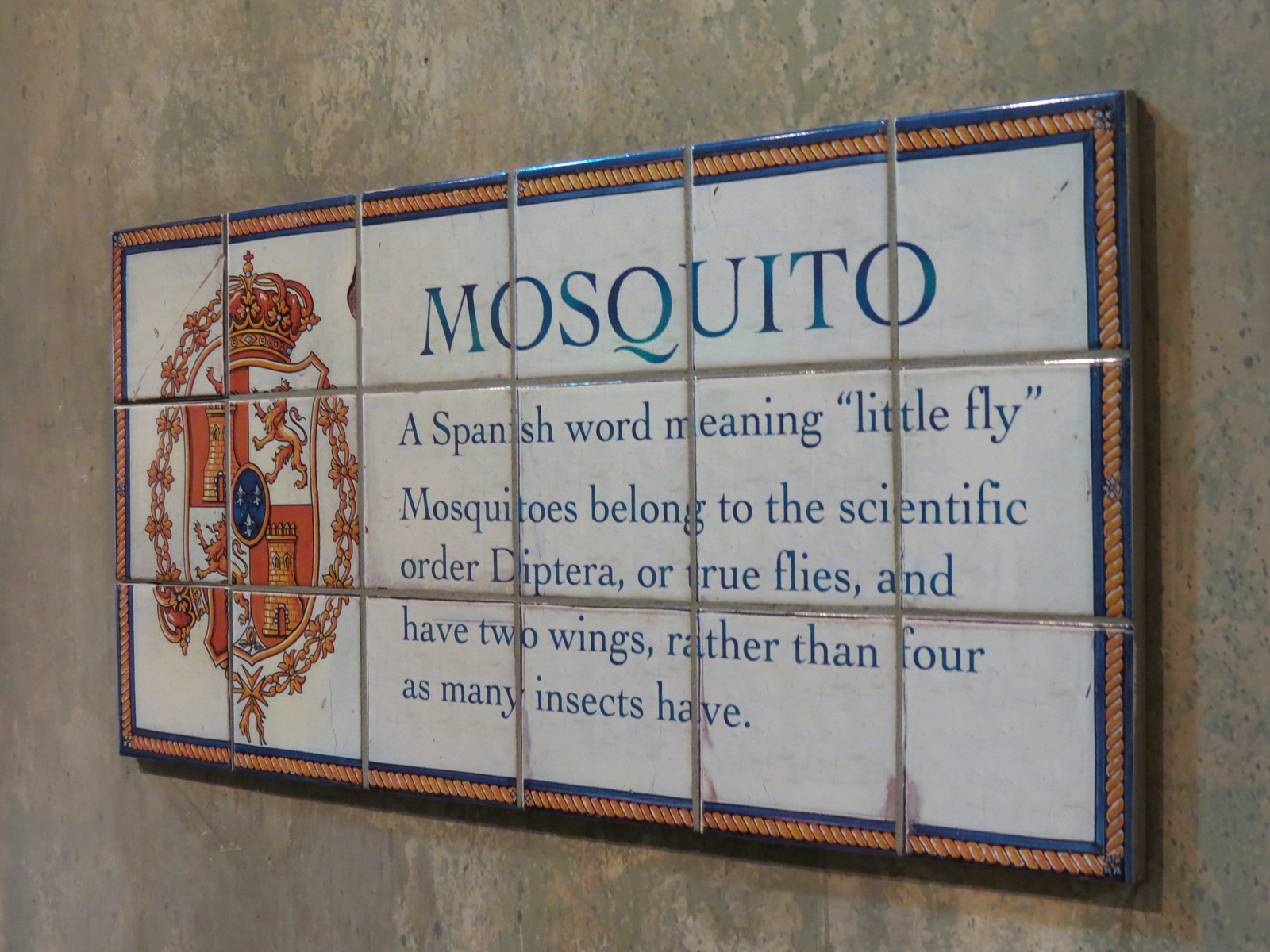 Insects of New Orleans - Wall Tiles