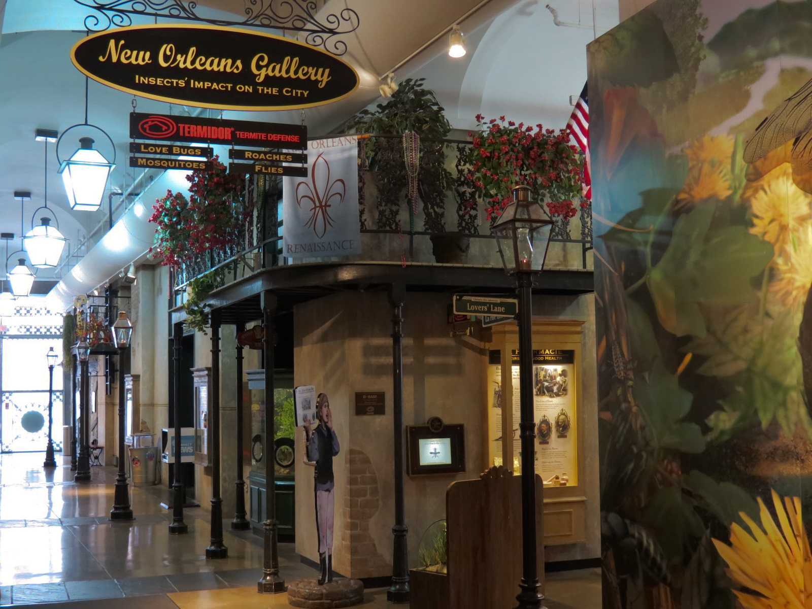 Insects of New Orleans