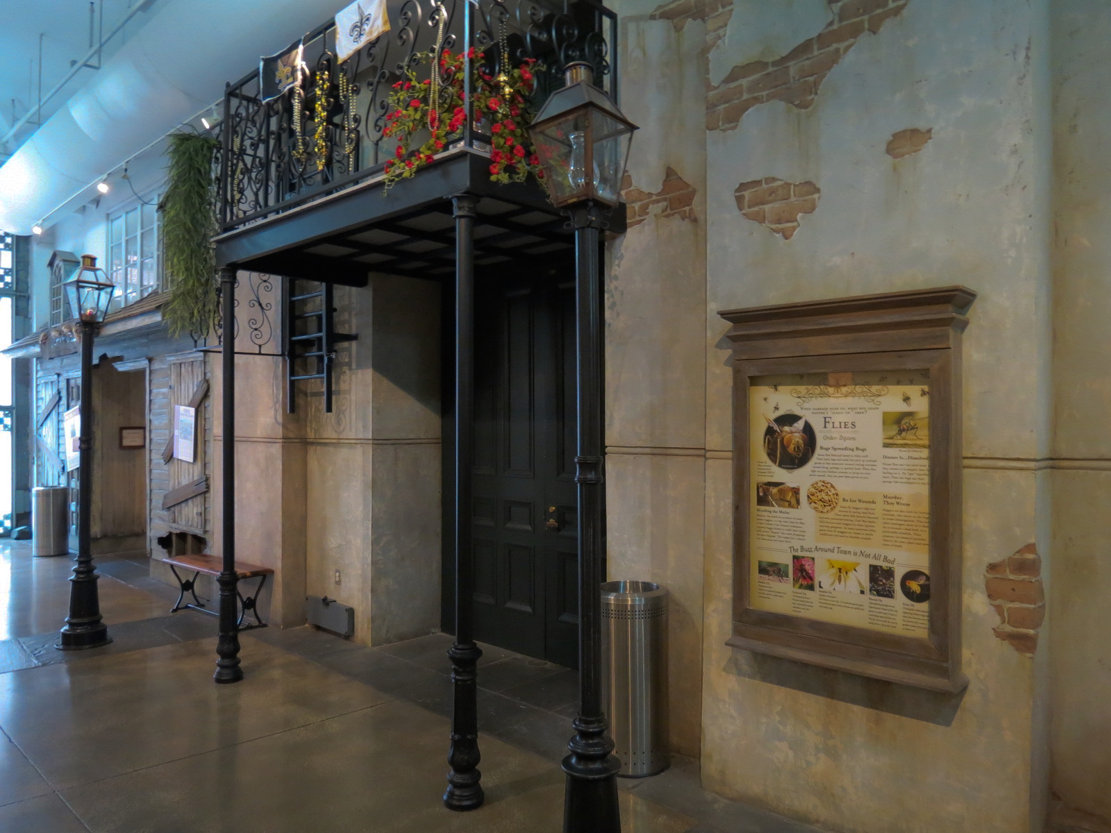 Insects of New Orleans