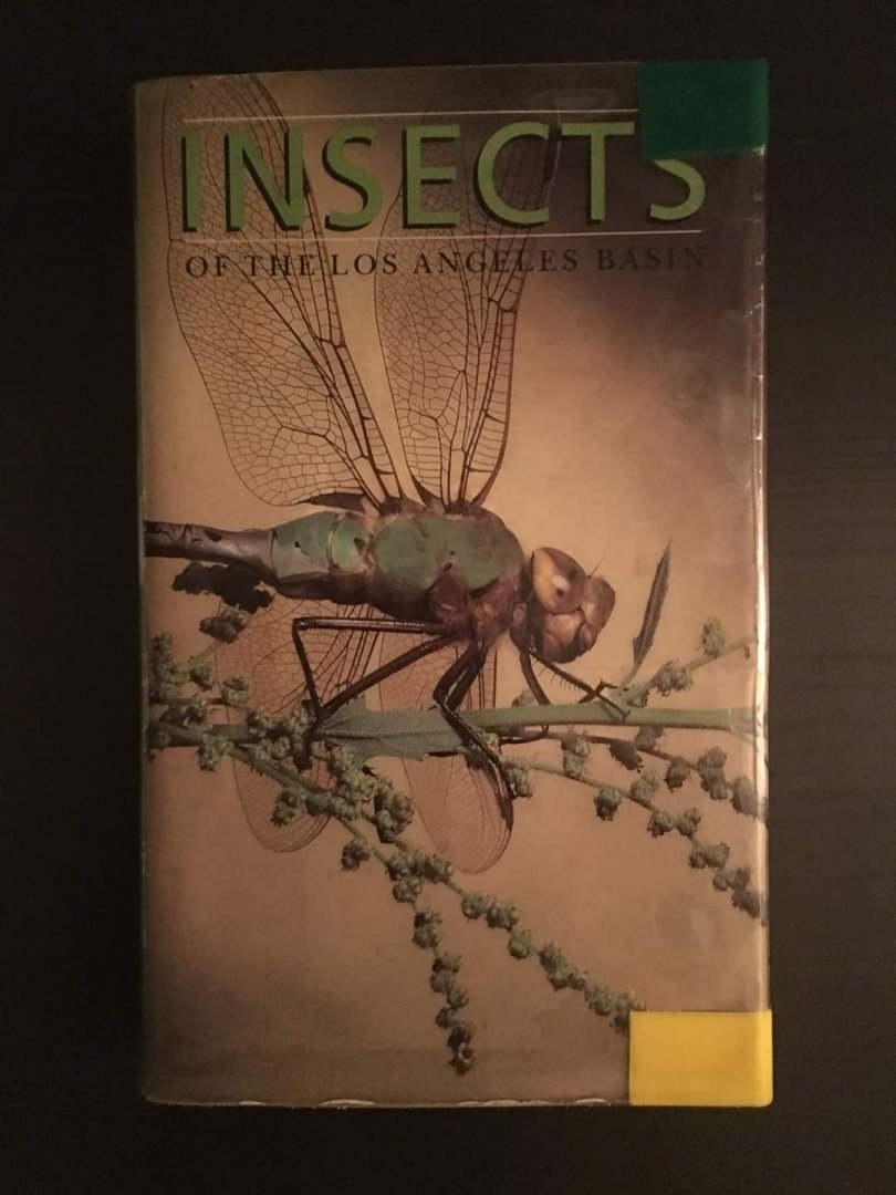 Insects of the Los Angeles Basin