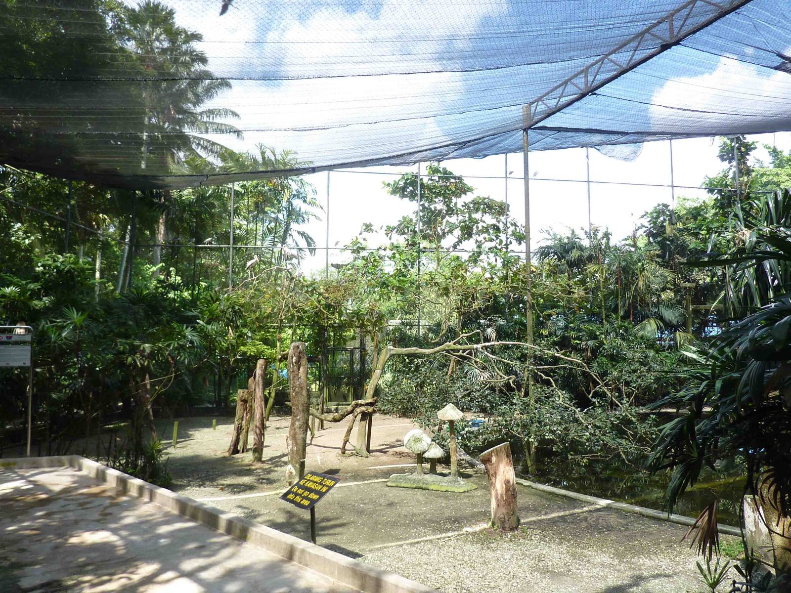 Inside a painted stork aviary, May 2013.