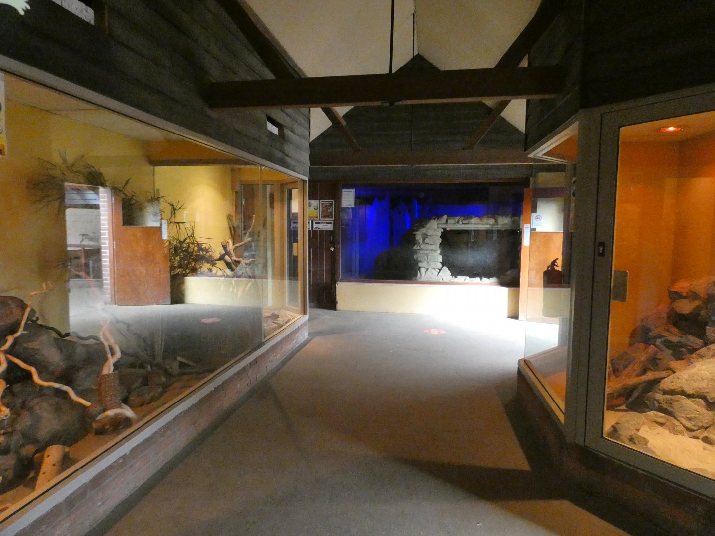 Inside Aardvark house