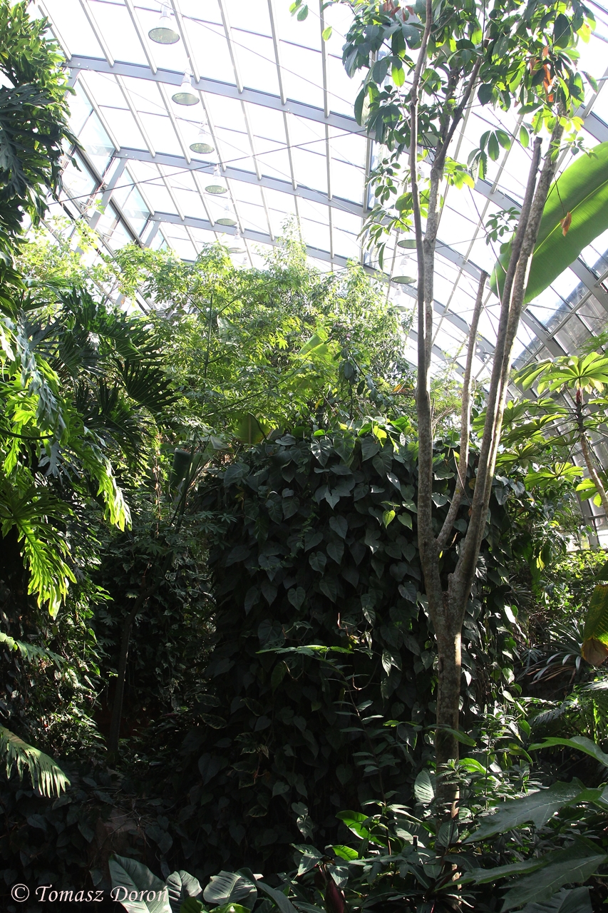 Inside Amazonienhaus