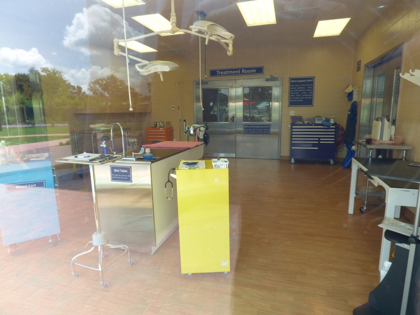 Inside Animal Wellness Center