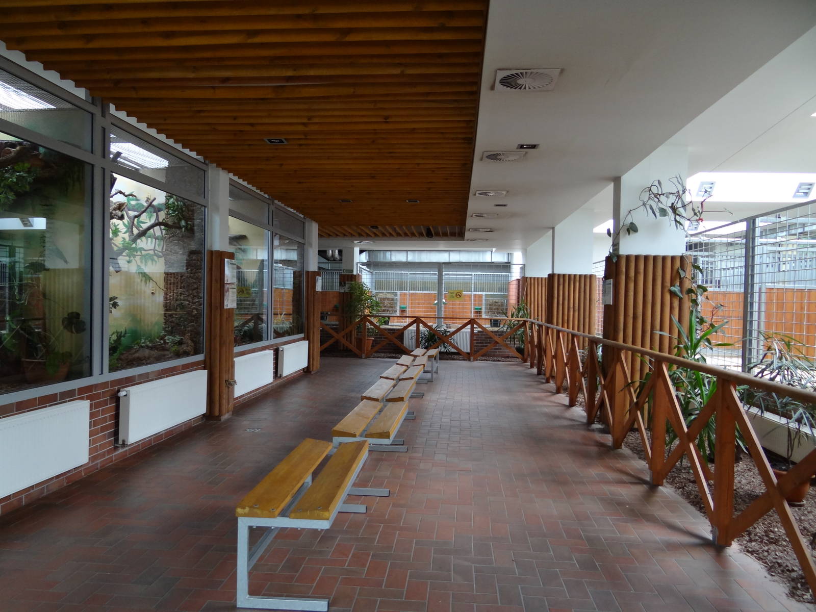 Inside antelope house